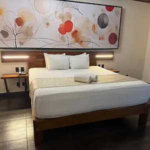 Kavia 5th Avenida (adults Only) Mexikó