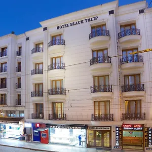 Black Tulip 4* İstanbul